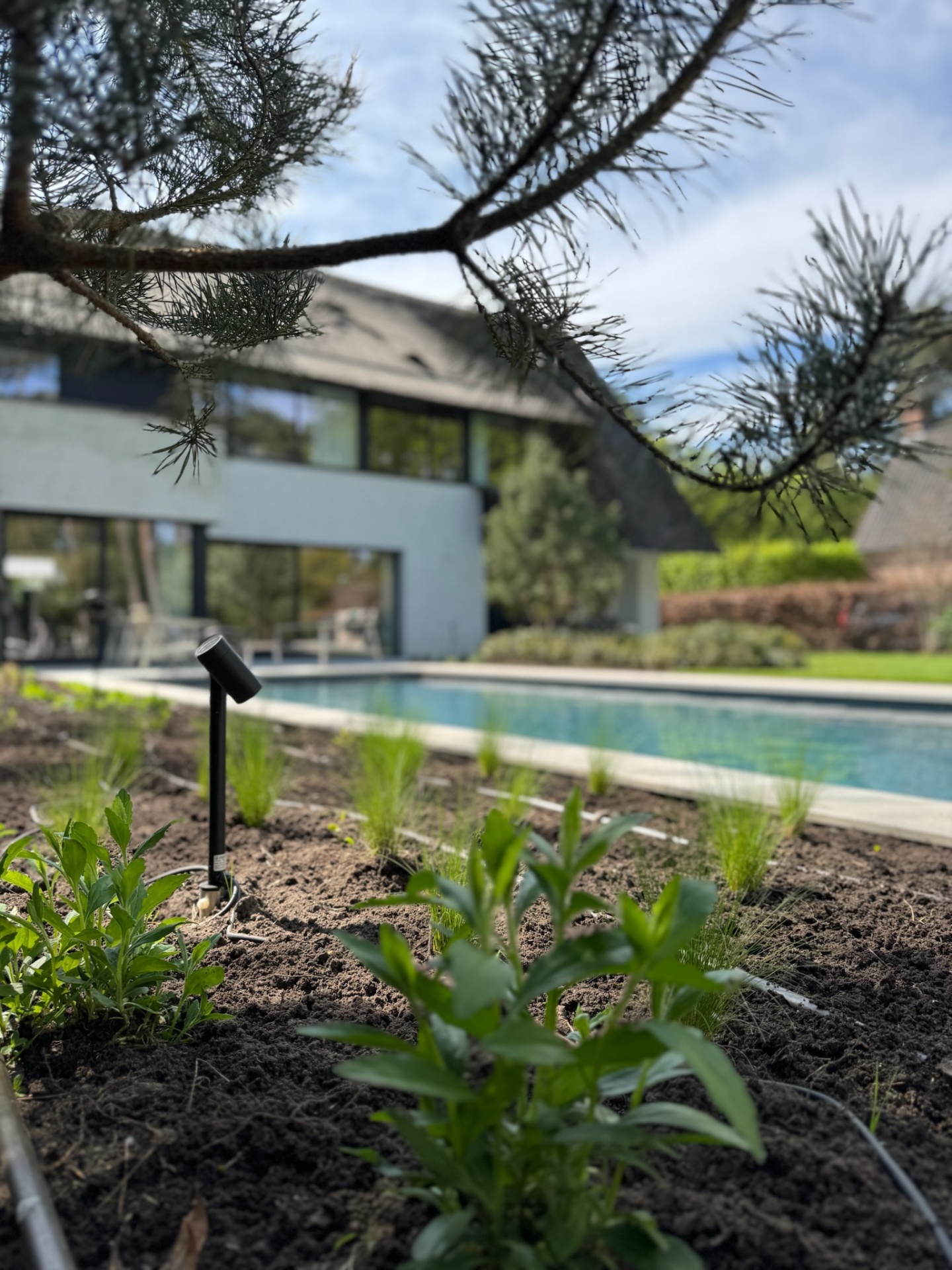 Moderne Tuin Zandhoven